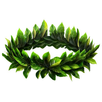 a wreath made out of green leaves