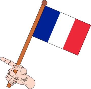 a hand holding a french flag