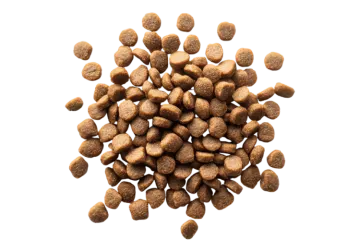 a pile of dog food