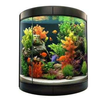 a fish tank with an aquarium in it