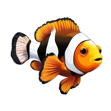 a clown fish on a white background