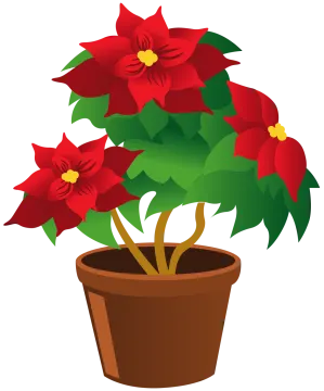 a pot with red flowers in it