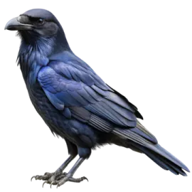 a blue bird sitting on top of a white surface