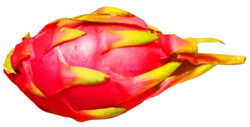 a close up of a red dragon fruit
