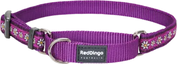 a purple dog collar with flowers on it