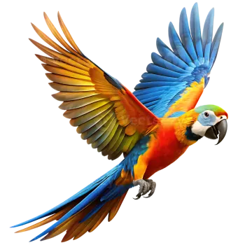 a colorful parrot flying in the air