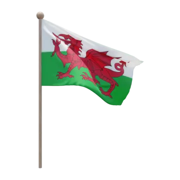 a flag with a red dragon on it