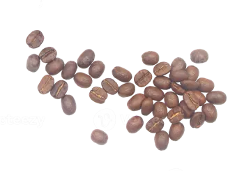 coffee beans on a white background
