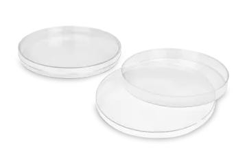 two clear plates on a white background