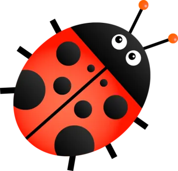 a lady bug with black spots and red spots