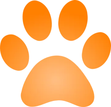 an orange paw on a white background