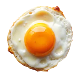 a fried egg on top of a piece of bread