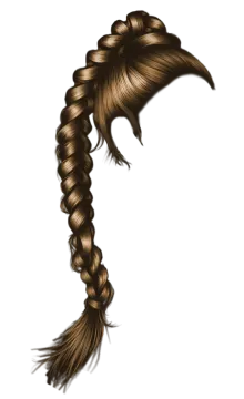 a drawing of a ponytail with long hair