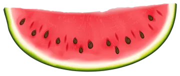 a slice of watermelon