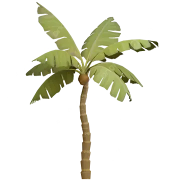 a green palm tree on a white background