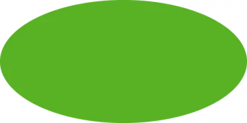 a green circle on a white background