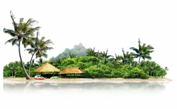 an island with palm trees and a thatched hut