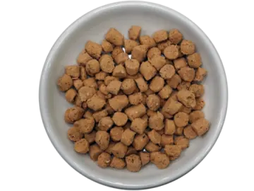 a white bowl filled with dog food