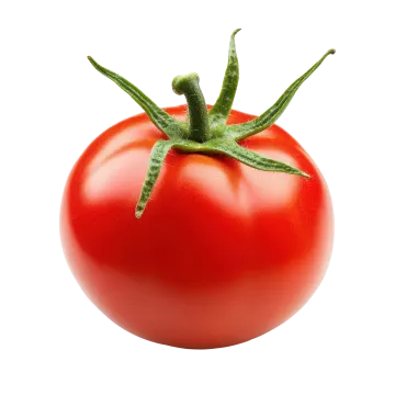a red tomato on a white background