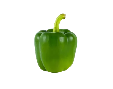 a green pepper on a white background