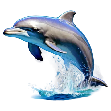 a dolphin jumping out of the water