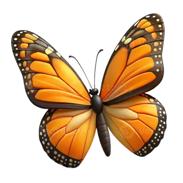 a monarch butterfly on a white background