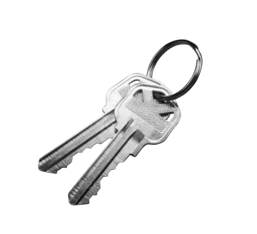 a bunch of keys on a white background
