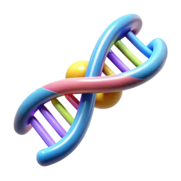 a 3d model of a dna molecule