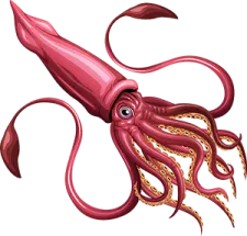 an octopus with tentacles and tentacles