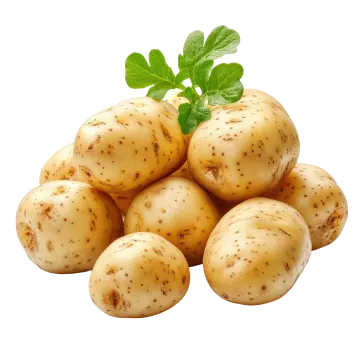 a pile of potatoes on a white background