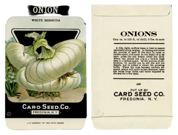 a close up of a white seed packet