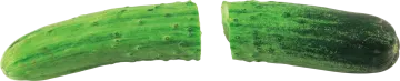 two pieces of green leaf on white background