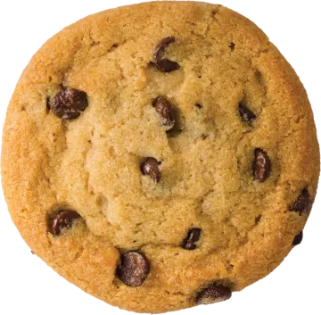 a chocolate chip cookie on a white background