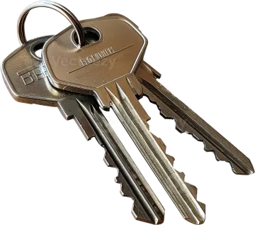 a bunch of keys on a white background