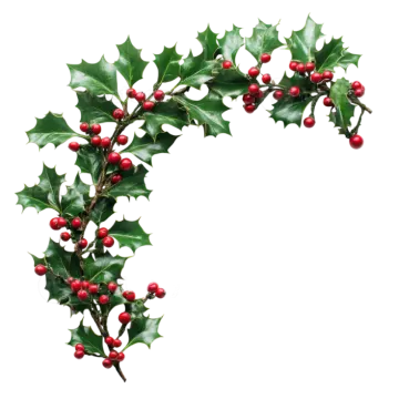 a holly branch with red berries on it