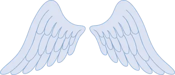a pair of angel wings