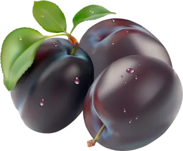 two plums with leaves and water droplets