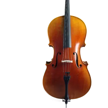 a violin on a white background