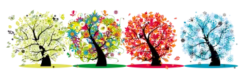 four trees with colorful leaves