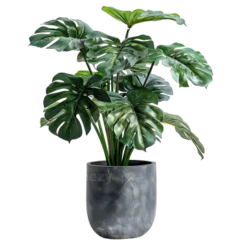a potted plant with green leaves in it
