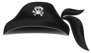 a pirate hat with a skull on it