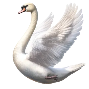 a white swan with its wings spread out