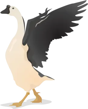 an illustration of a goose with its wings spread