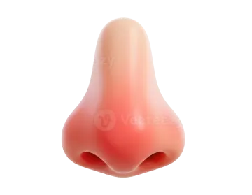 an illustration of a female's nose