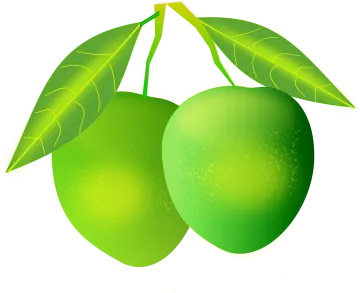 two green mangos on a white background