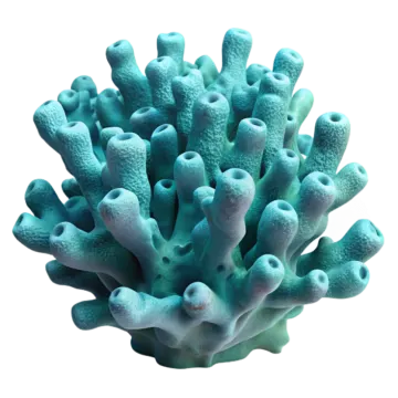 a close up of a blue coral