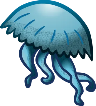 an illustration of a jellyfish