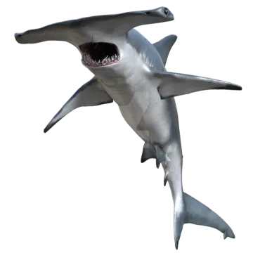 a great white shark with its mouth open