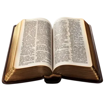 an open bible on a white background