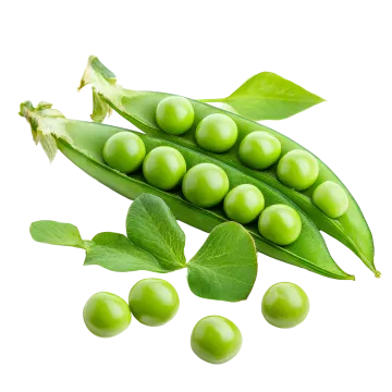 green peas with leaves on white background